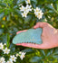 Green Shanti3 gua sha tool