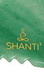 Shanti3 green gua sha tool.
